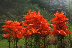 photo 0115